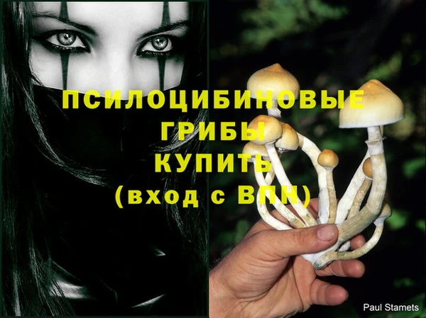 прущая мука Навашино