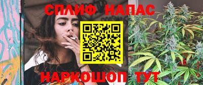 СК Балаково