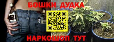 jwh Бийск