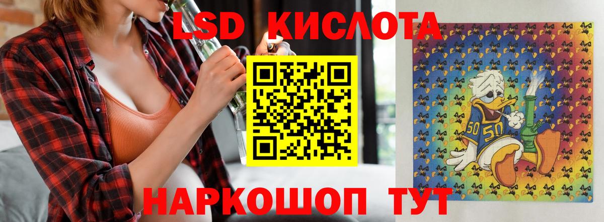 kraken вход  Вход с VPN  Бердск  LSD-25 экстази ecstasy  Лсд 25 экстази ecstasy 