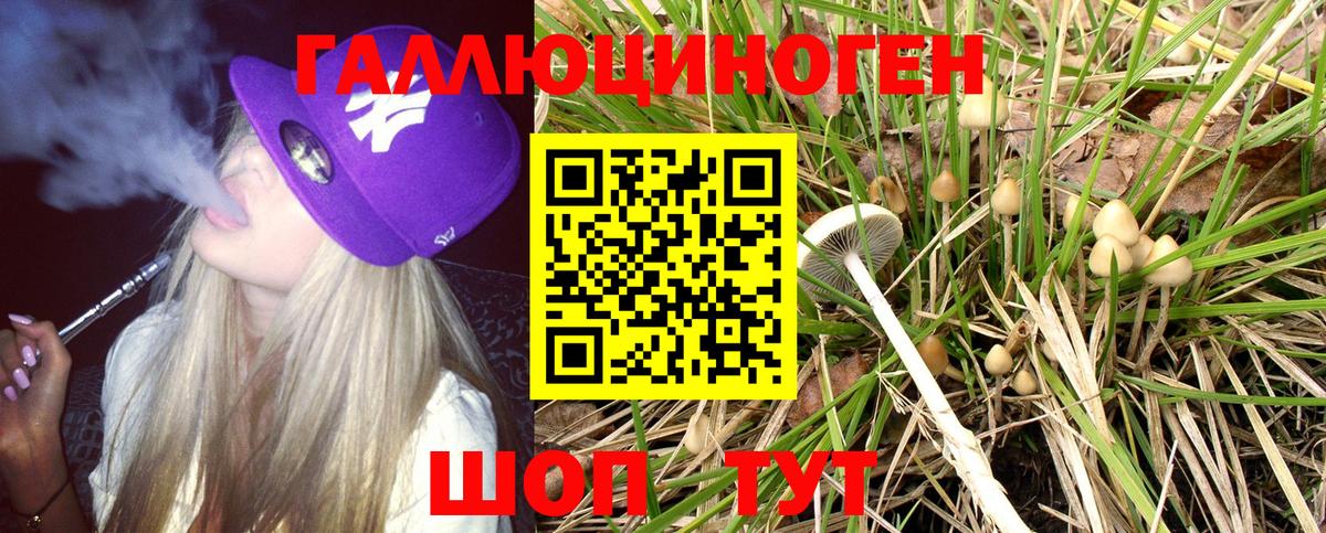 Галлюциногенные грибы GOLDEN TEACHER Бердск