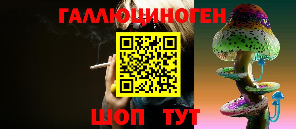 Псилоцибиновые грибы мухоморы  даркнет сайт  Бердск  Псилоцибиновые грибы ЛСД 