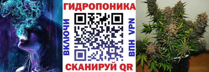 закладки Бердск гидра зеркало Каннабис Ganja